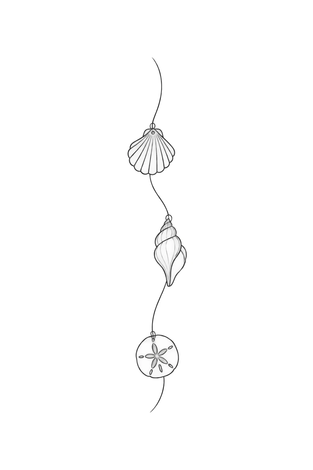 Drei Muscheln an einer Linie
