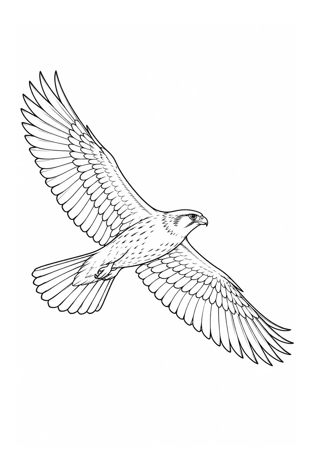 Gleitender Falke
