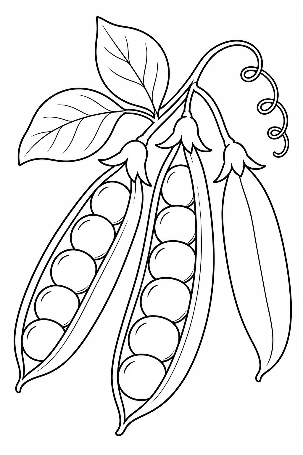 Offene Erbsenschoten