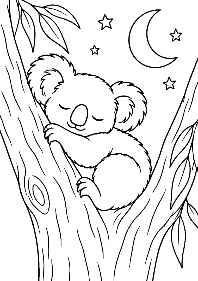 Koala schläft im Mondlicht