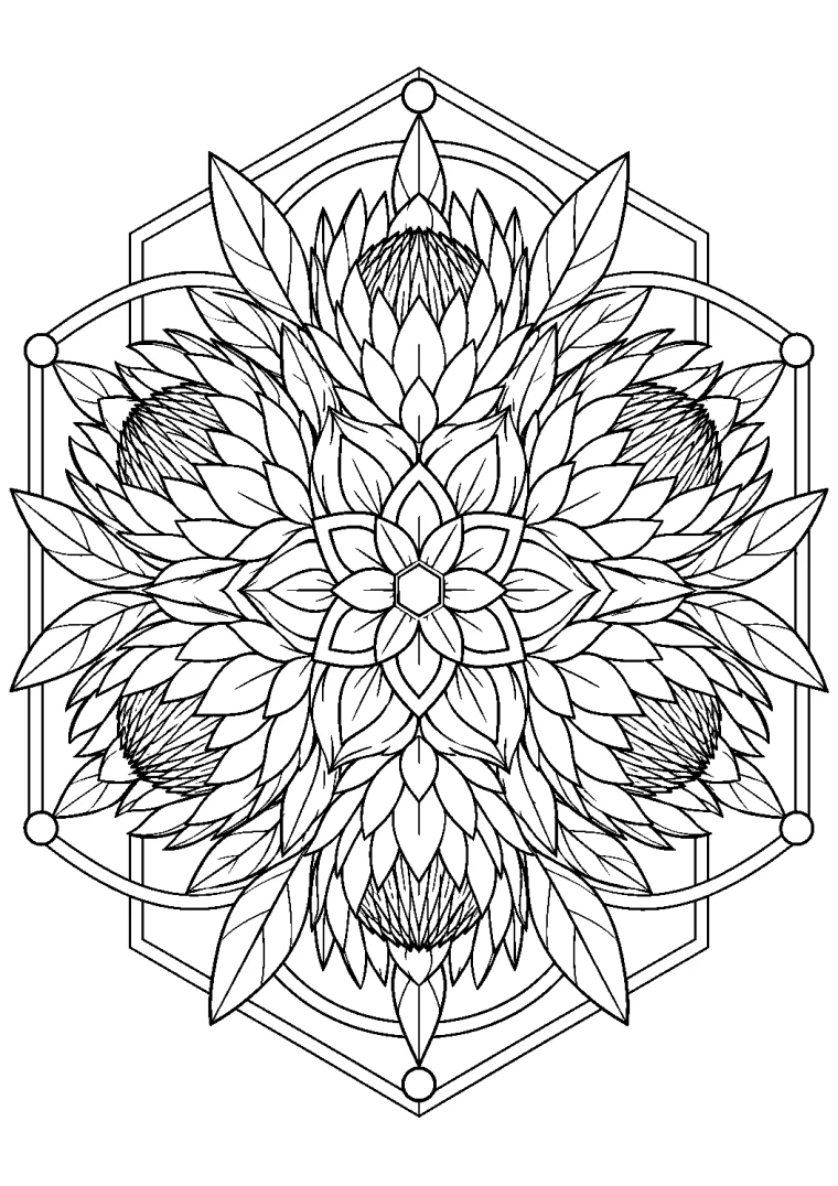 Proteablüten-Mandala